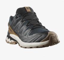 Salomon XA PRO 3D V9 GTX Lifelong M 